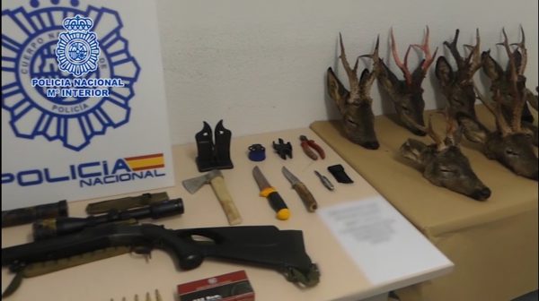 La Policía Nacional detiene a dos individuos que se dedicaban a la caza furtiva de corzos