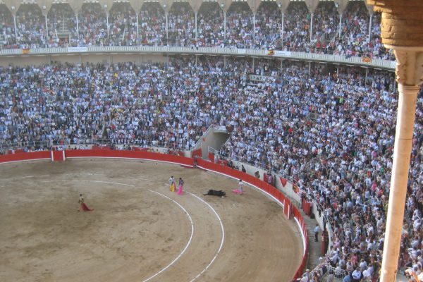 Multa de 720 euros para un ‘tuitero’ por sus salvajes mensajes a un niño de ocho años con cáncer y aficionado a los toros