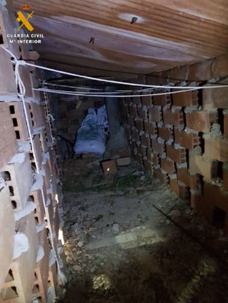 Desmantelan una vivienda destinada al cultivo de cannabis sátiva en San Martín de la Virgen del Moncayo