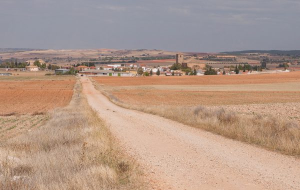 Duras medidas cautelares para María Sevilla, no podrá acercarse a su hijo