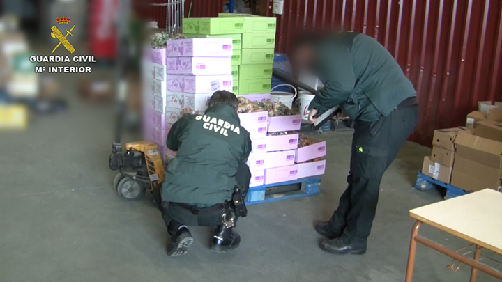 La Guardia Civil incauta 300 toneladas y 39.000 litros de alimentos y bebidas falsificadas