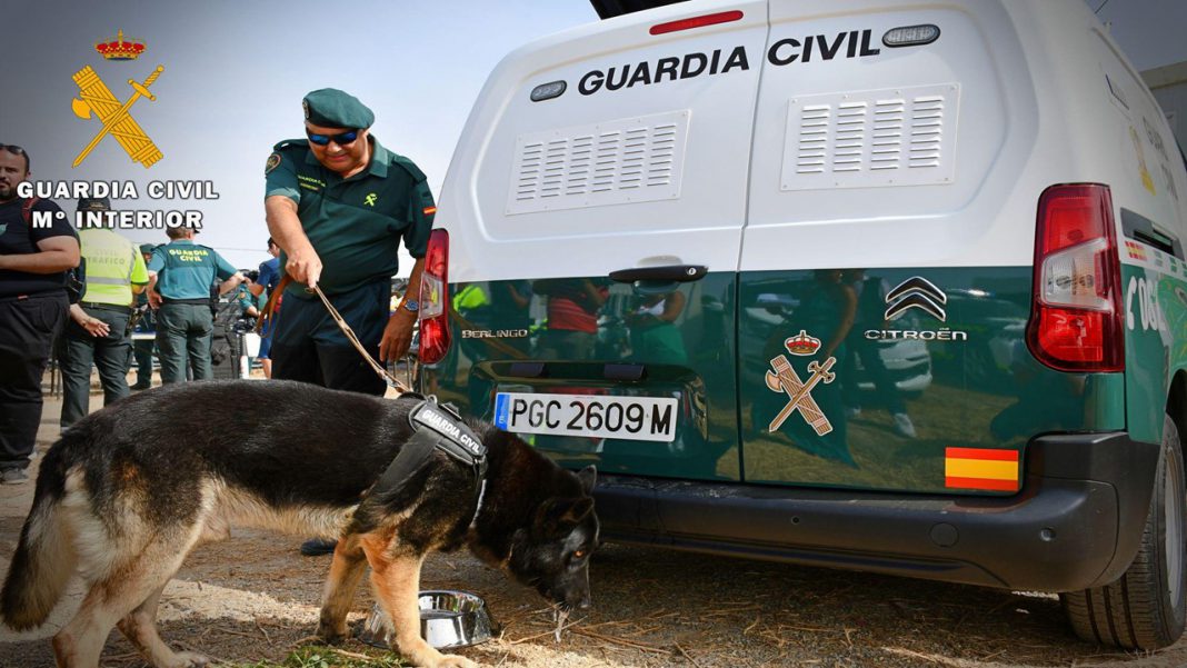 Guardia Civil guias caninos servicio cinologico perros