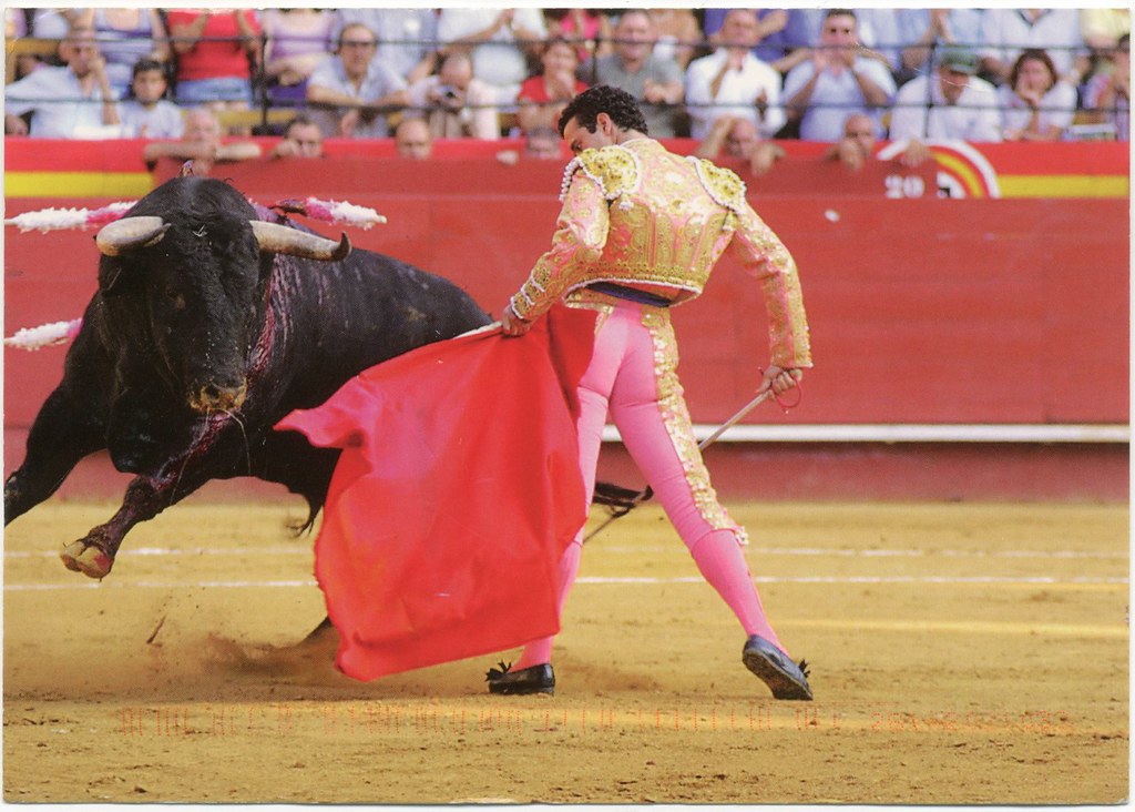 TOROS TOREROS