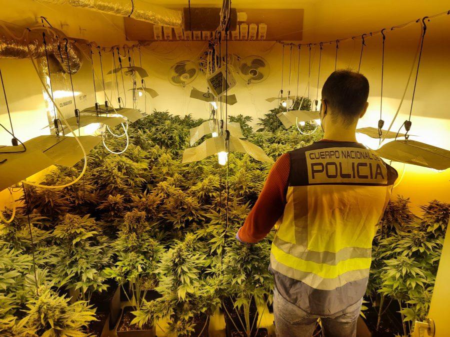 marihuana-torrent-policia-h50