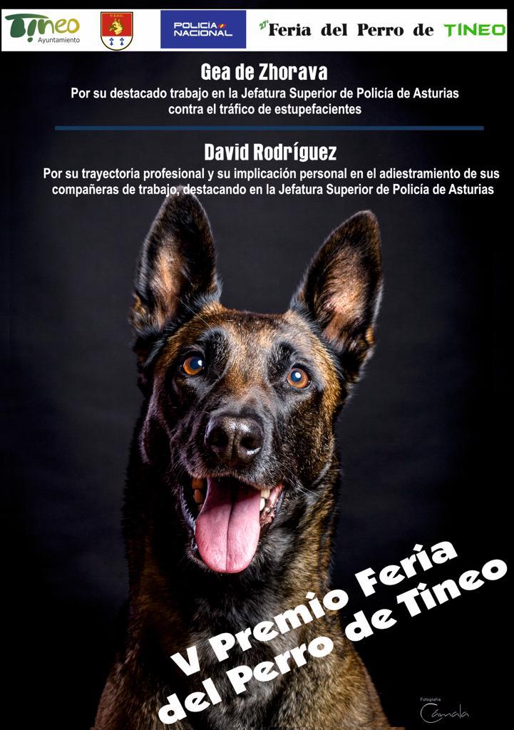 david-rodriguez-guia-canino-policia-nacional-feria-tineo-gea