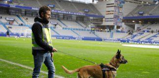 turco-perro-guia-canino-policia-pastor-belga-malinois-h50-11-futbol
