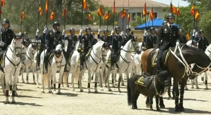 La Policía Nacional recibe el Caballo de Oro en el Picadero del Depósito de Sementales de Jerez de la Frontera (Cádiz)