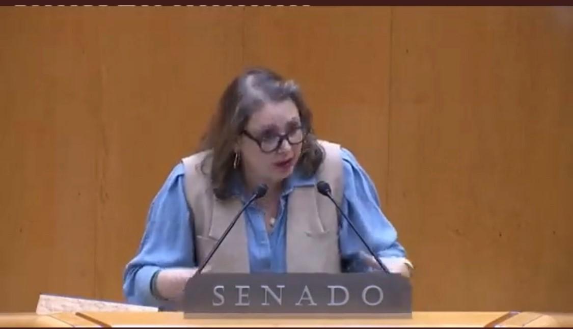 Polémicas declaraciones de la senadora socialista María Nieves Hernández sobre la seguridad