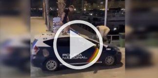 puerto-alicante-saltan-sobre-coche-policia-nacional-h50