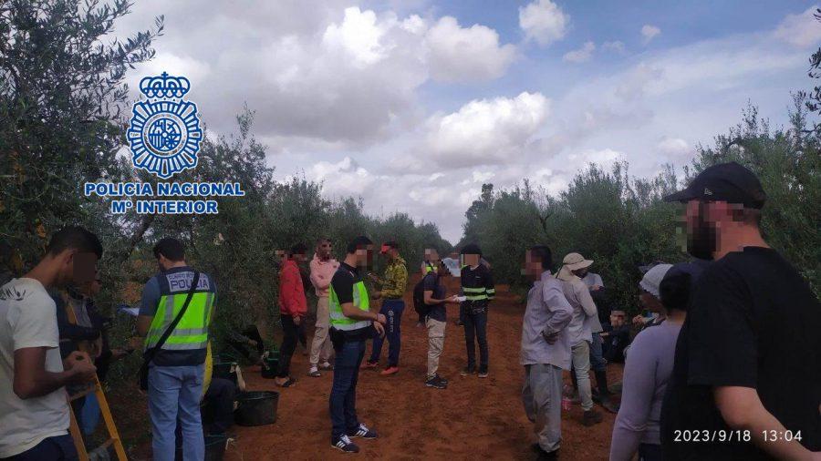 La Policía Nacional desarticula una organización criminal dedicada a la explotación laboral de extranjeros en situación irregular