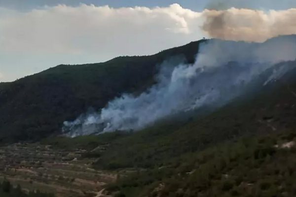 Un incendio en Tarragona obliga a movilizar 25 dotaciones entre bomberos y equipos aéreos