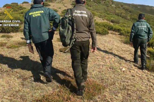 El SEPRONA duplica las actuaciones por delitos contra los recursos naturales y el medioambiente en los últimos 5 años