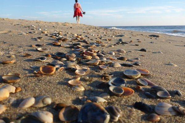 Furtivos de bañador: una amenaza creciente en las playas gallegas marisco_playa_h50_policia