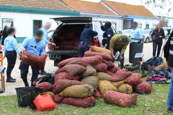 Decomisan 30 toneladas de moluscos contaminados y pescados ilegalmente antes de Navidad