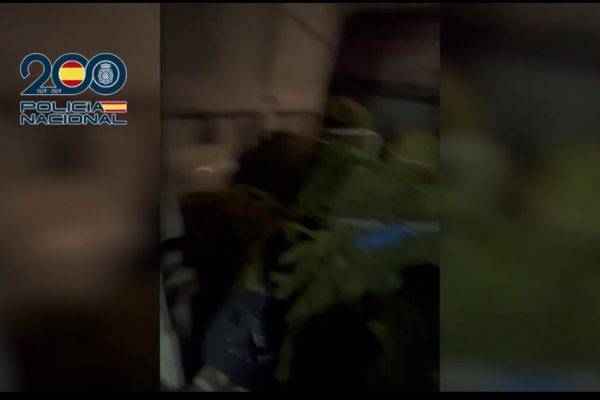 Una persecución policial a una furgoneta acaba con tres detenidos y 110 kilos de cogollos de marihuana intervenidos